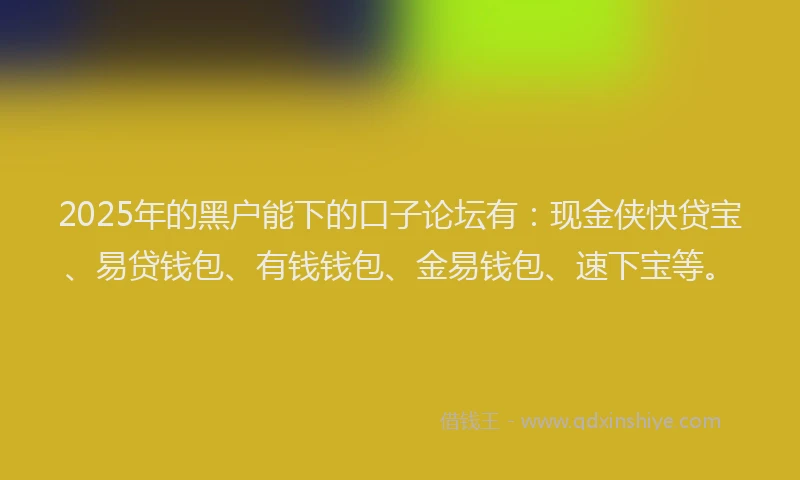 2025年的黑户能下的口子论坛有：现金侠快贷宝、易贷钱包、有钱钱包、金易钱包、速下宝等。