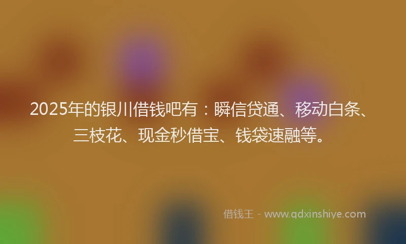2025年的银川借钱吧有：瞬信贷通、移动白条、三枝花、现金秒借宝、钱袋速融等。