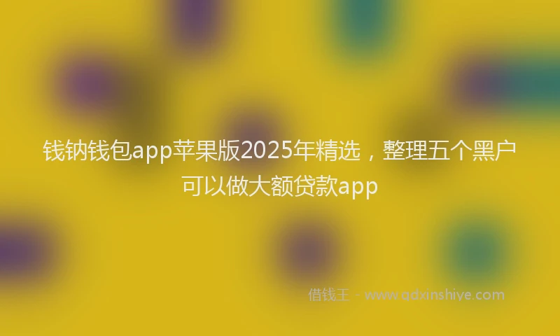 钱钠钱包app苹果版2025年精选，整理五个黑户可以做大额贷款app