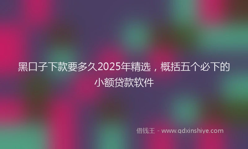 黑口子下款要多久2025年精选，概括五个必下的小额贷款软件