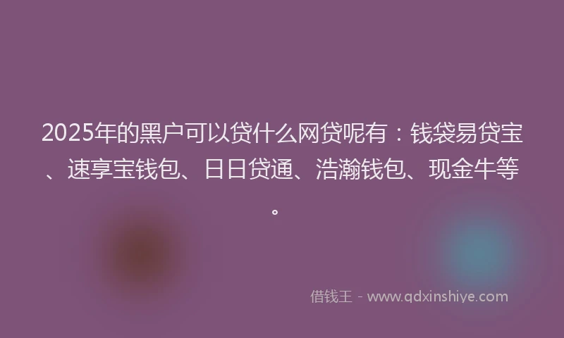 2025年的黑户可以贷什么网贷呢有：钱袋易贷宝、速享宝钱包、日日贷通、浩瀚钱包、现金牛等。