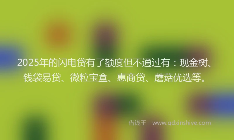 2025年的闪电贷有了额度但不通过有：现金树、钱袋易贷、微粒宝盒、惠商贷、蘑菇优选等。