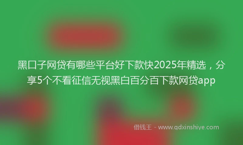 黑口子网贷有哪些平台好下款快2025年精选，分享5个不看征信无视黑白百分百下款网贷app