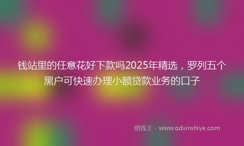 钱站里的任意花好下款吗2025年精选，罗列五个黑户可快速办理小额贷款业务的口子