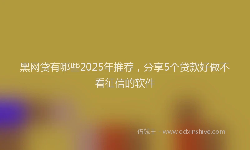 黑网贷有哪些2025年推荐，分享5个贷款好做不看征信的软件