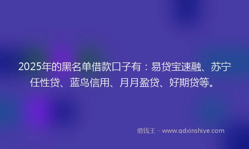 2025年的黑名单借款口子有：易贷宝速融、苏宁任性贷、蓝鸟信用、月月盈贷、好期贷等。