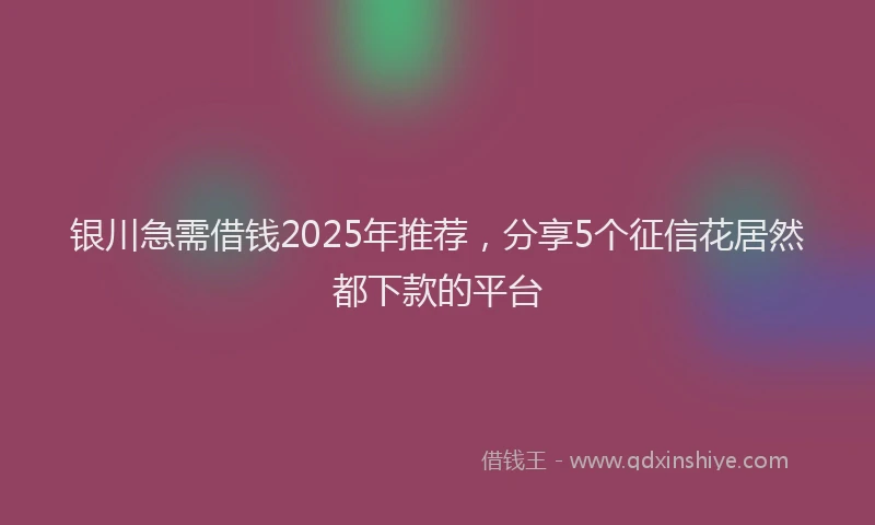 银川急需借钱2025年推荐，分享5个征信花居然都下款的平台