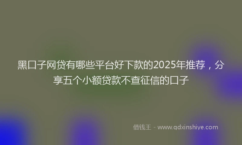 黑口子网贷有哪些平台好下款的2025年推荐，分享五个小额贷款不查征信的口子