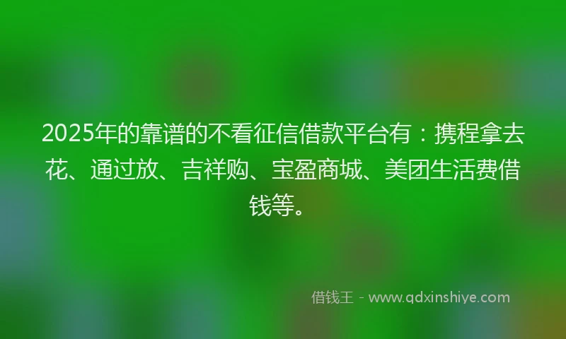 2025年的靠谱的不看征信借款平台有：携程拿去花、通过放、吉祥购、宝盈商城、美团生活费借钱等。