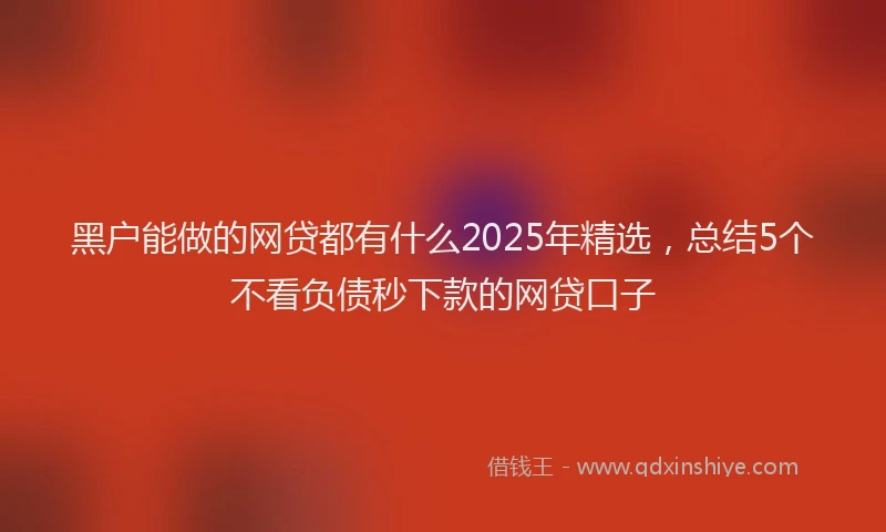 黑户能做的网贷都有什么2025年精选，总结5个不看负债秒下款的网贷口子