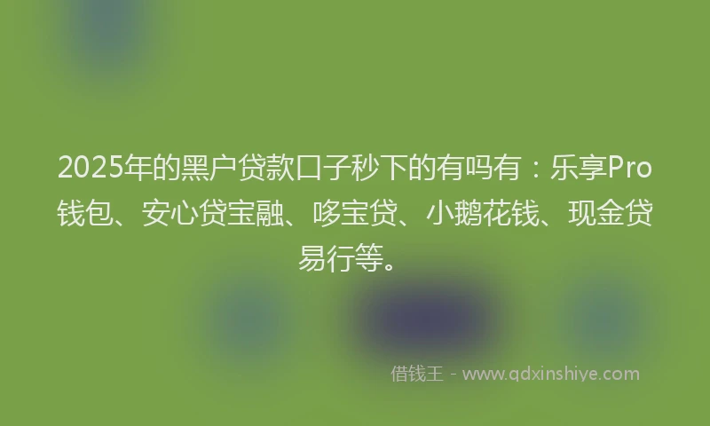 2025年的黑户贷款口子秒下的有吗有：乐享Pro钱包、安心贷宝融、哆宝贷、小鹅花钱、现金贷易行等。