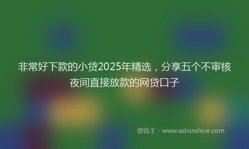 非常好下款的小贷2025年精选，分享五个不审核夜间直接放款的网贷口子