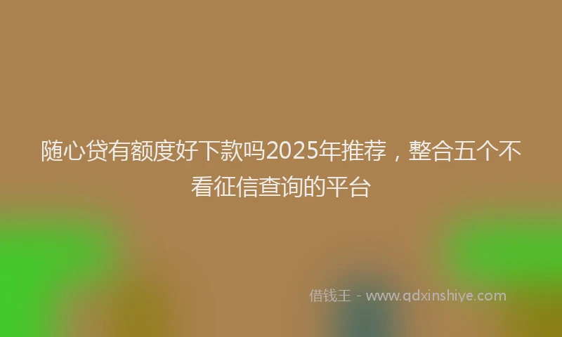 随心贷有额度好下款吗2025年推荐，整合五个不看征信查询的平台