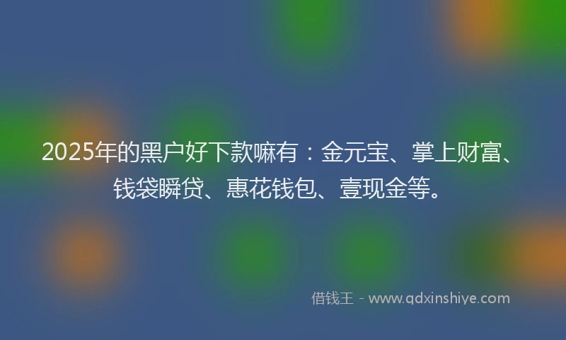 2025年的黑户好下款嘛有：金元宝、掌上财富、钱袋瞬贷、惠花钱包、壹现金等。