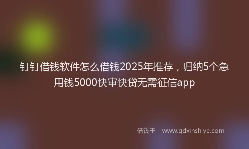 钉钉借钱软件怎么借钱2025年推荐，归纳5个急用钱5000快审快贷无需征信app