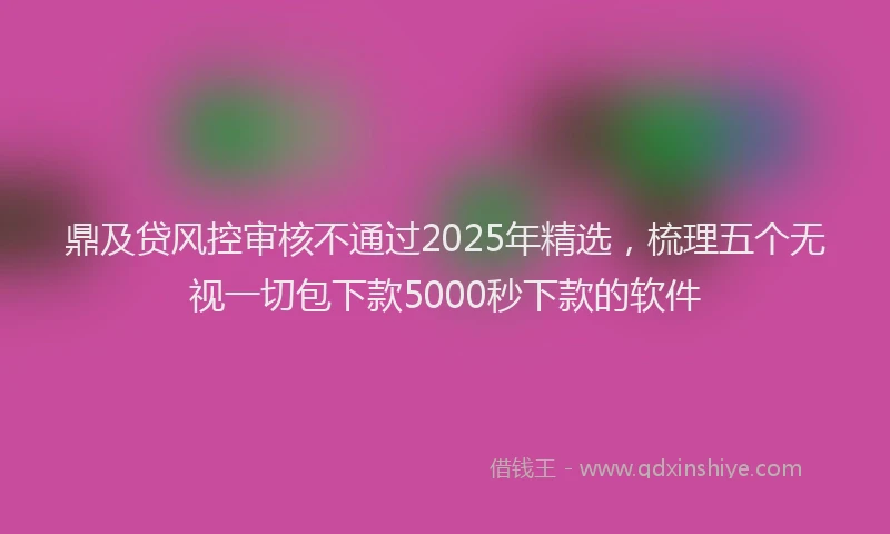 鼎及贷风控审核不通过2025年精选，梳理五个无视一切包下款5000秒下款的软件