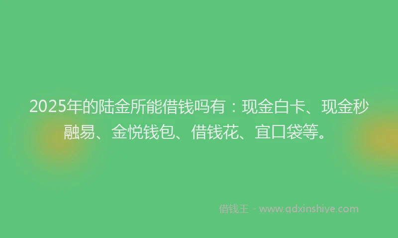 2025年的陆金所能借钱吗有：现金白卡、现金秒融易、金悦钱包、借钱花、宜口袋等。