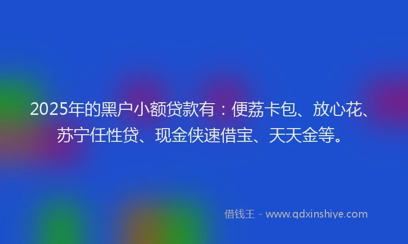 2025年的黑户小额贷款有：便荔卡包、放心花、苏宁任性贷、现金侠速借宝、天天金等。