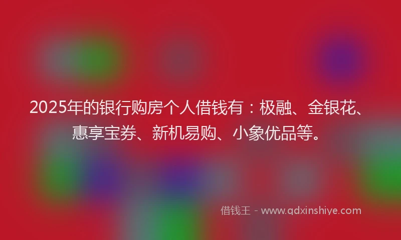 2025年的银行购房个人借钱有：极融、金银花、惠享宝券、新机易购、小象优品等。