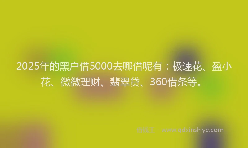 2025年的黑户借5000去哪借呢有：极速花、盈小花、微微理财、翡翠贷、360借条等。