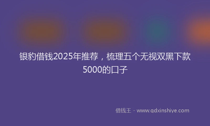 银豹借钱2025年推荐，梳理五个无视双黑下款5000的口子