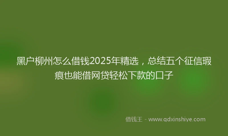 黑户柳州怎么借钱2025年精选，总结五个征信瑕疵也能借网贷轻松下款的口子
