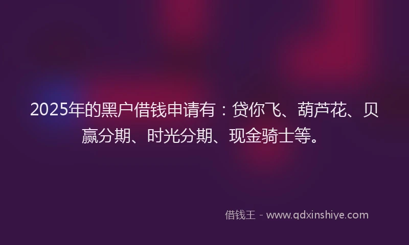 2025年的黑户借钱申请有：贷你飞、葫芦花、贝赢分期、时光分期、现金骑士等。