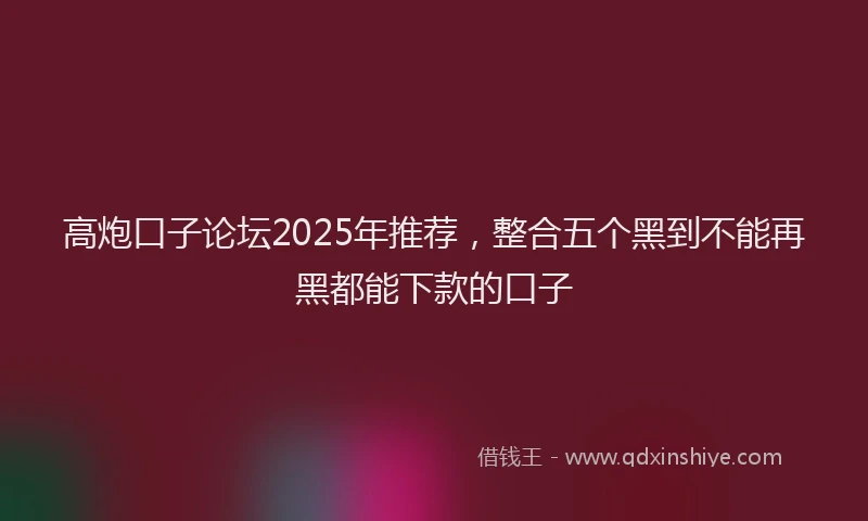 高炮口子论坛2025年推荐，整合五个黑到不能再黑都能下款的口子