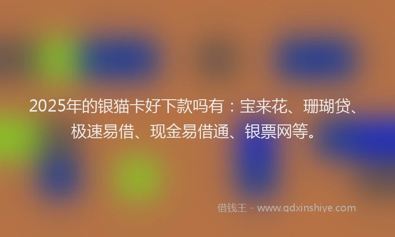 2025年的银猫卡好下款吗有：宝来花、珊瑚贷、极速易借、现金易借通、银票网等。