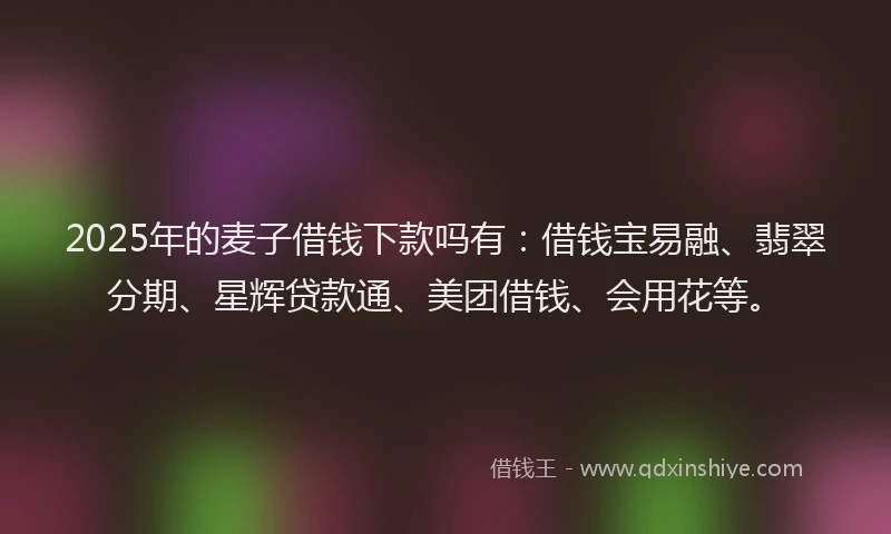 2025年的麦子借钱下款吗有：借钱宝易融、翡翠分期、星辉贷款通、美团借钱、会用花等。