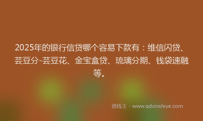 2025年的银行信贷哪个容易下款有：维信闪贷、芸豆分-芸豆花、金宝盒贷、琉璃分期、钱袋速融等。