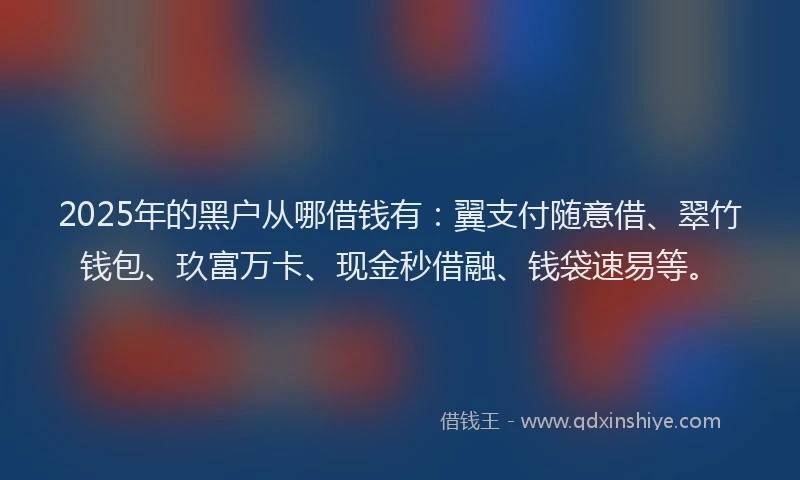 2025年的黑户从哪借钱有：翼支付随意借、翠竹钱包、玖富万卡、现金秒借融、钱袋速易等。