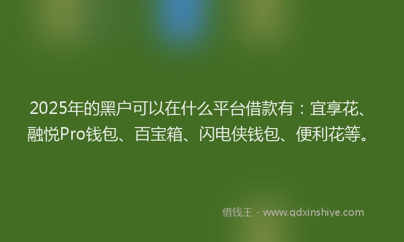 2025年的黑户可以在什么平台借款有：宜享花、融悦Pro钱包、百宝箱、闪电侠钱包、便利花等。