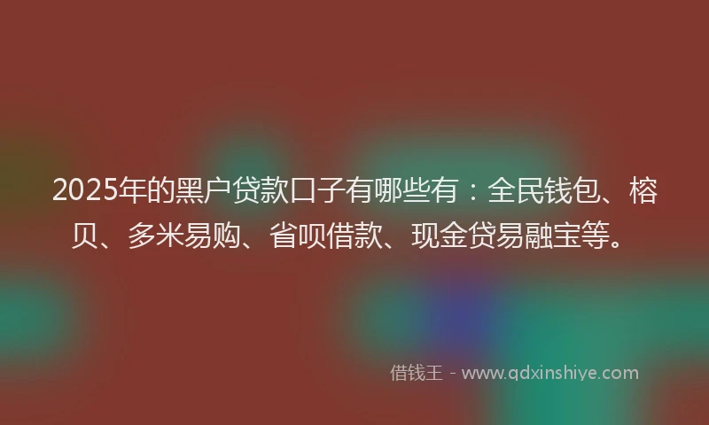 2025年的黑户贷款口子有哪些有：全民钱包、榕贝、多米易购、省呗借款、现金贷易融宝等。
