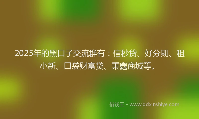 2025年的黑口子交流群有：信秒贷、好分期、租小新、口袋财富贷、秉鑫商城等。