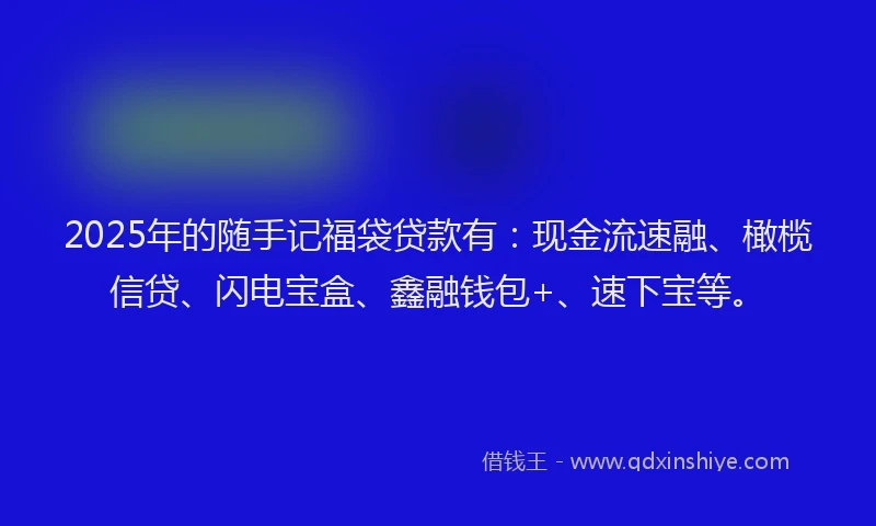 2025年的随手记福袋贷款有：现金流速融、橄榄信贷、闪电宝盒、鑫融钱包+、速下宝等。