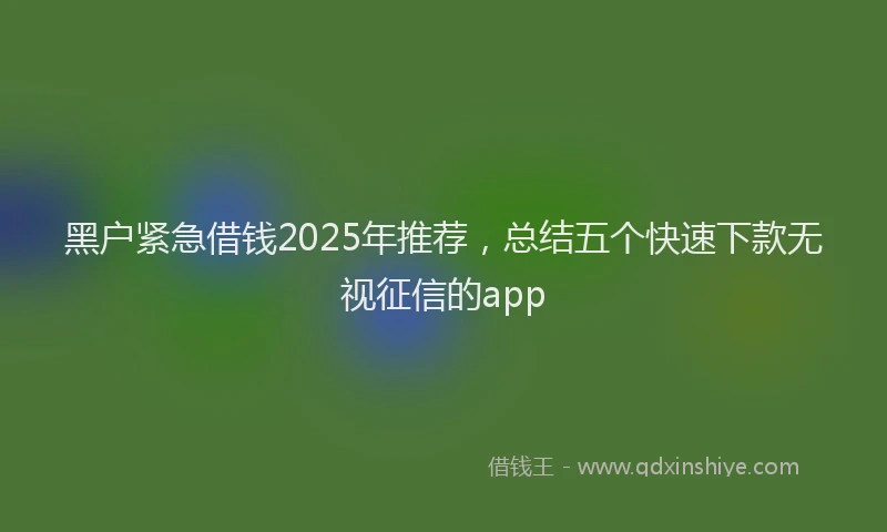 黑户紧急借钱2025年推荐，总结五个快速下款无视征信的app