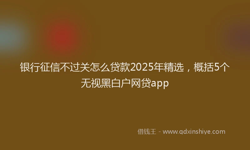 银行征信不过关怎么贷款2025年精选，概括5个无视黑白户网贷app