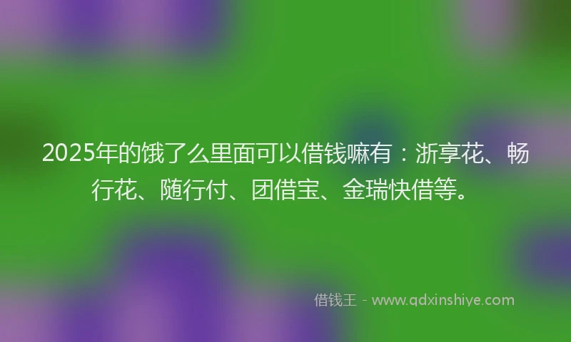 2025年的饿了么里面可以借钱嘛有：浙享花、畅行花、随行付、团借宝、金瑞快借等。
