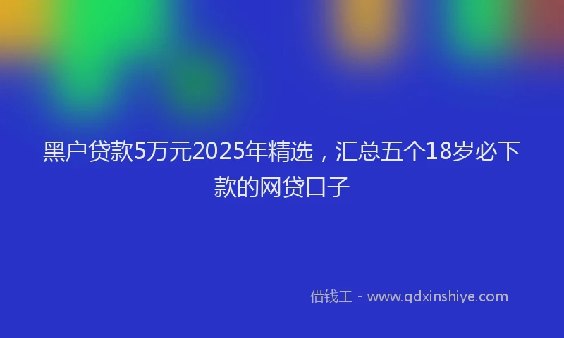 黑户贷款5万元2025年精选，汇总五个18岁必下款的网贷口子