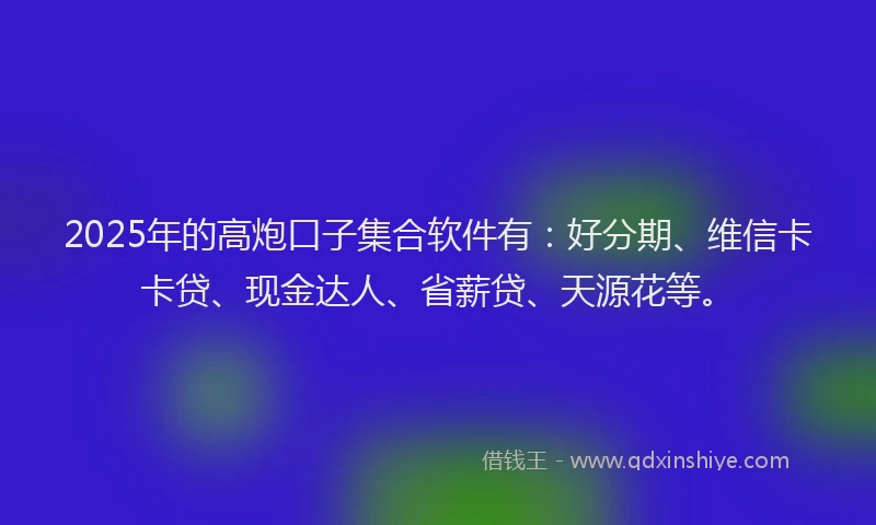 2025年的高炮口子集合软件有：好分期、维信卡卡贷、现金达人、省薪贷、天源花等。
