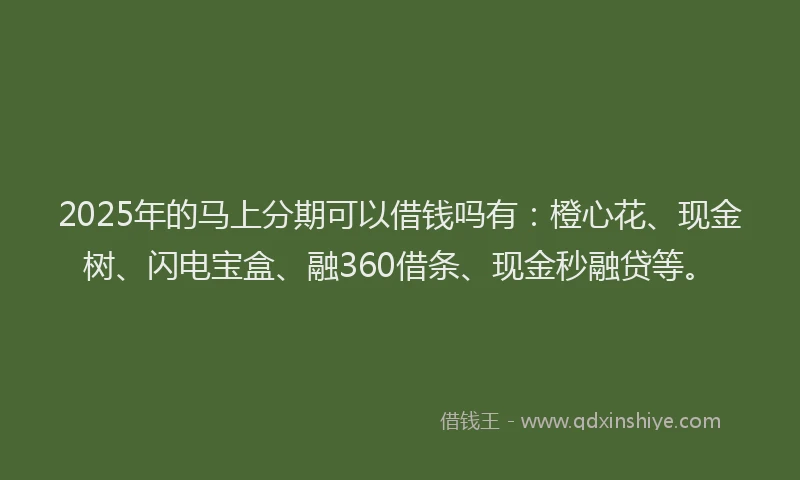 2025年的马上分期可以借钱吗有：橙心花、现金树、闪电宝盒、融360借条、现金秒融贷等。