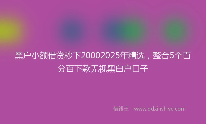黑户小额借贷秒下20002025年精选，整合5个百分百下款无视黑白户口子