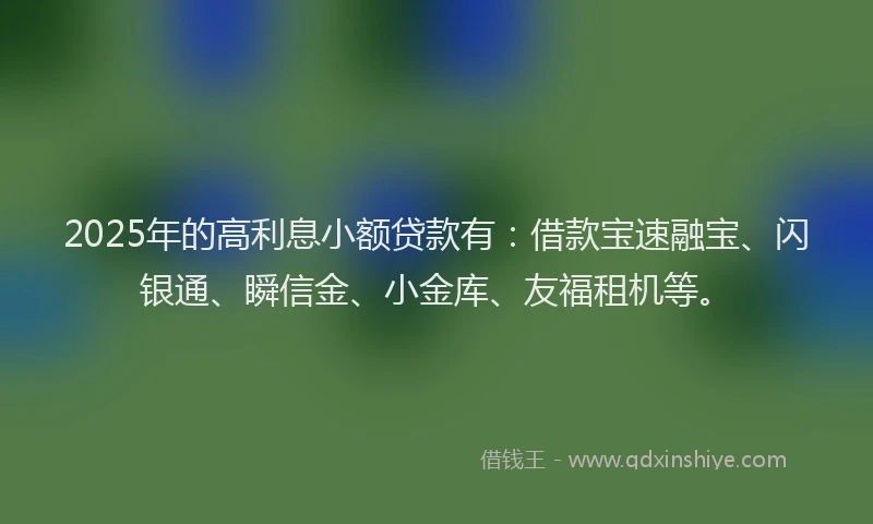 2025年的高利息小额贷款有：借款宝速融宝、闪银通、瞬信金、小金库、友福租机等。