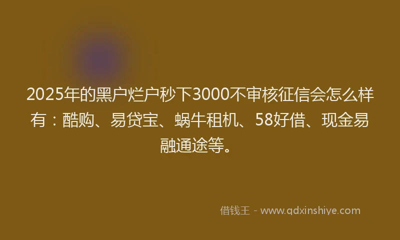 2025年的黑户烂户秒下3000不审核征信会怎么样有：酷购、易贷宝、蜗牛租机、58好借、现金易融通途等。