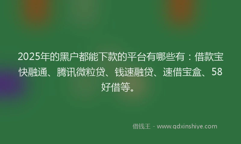 2025年的黑户都能下款的平台有哪些有：借款宝快融通、腾讯微粒贷、钱速融贷、速借宝盒、58好借等。