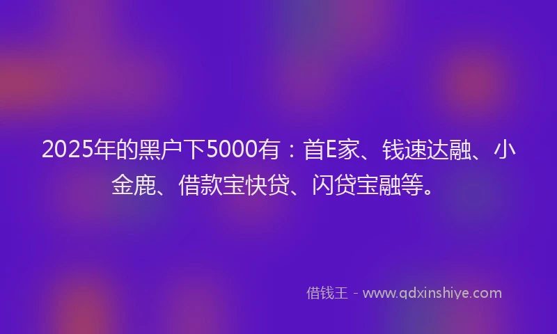 2025年的黑户下5000有：首E家、钱速达融、小金鹿、借款宝快贷、闪贷宝融等。