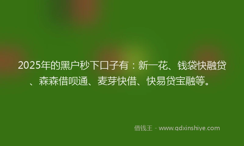 2025年的黑户秒下口子有：新一花、钱袋快融贷、森森借呗通、麦芽快借、快易贷宝融等。