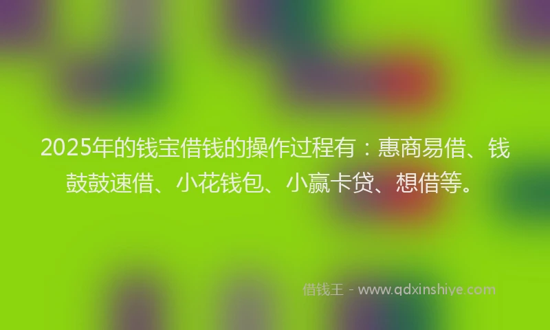 2025年的钱宝借钱的操作过程有：惠商易借、钱鼓鼓速借、小花钱包、小赢卡贷、想借等。