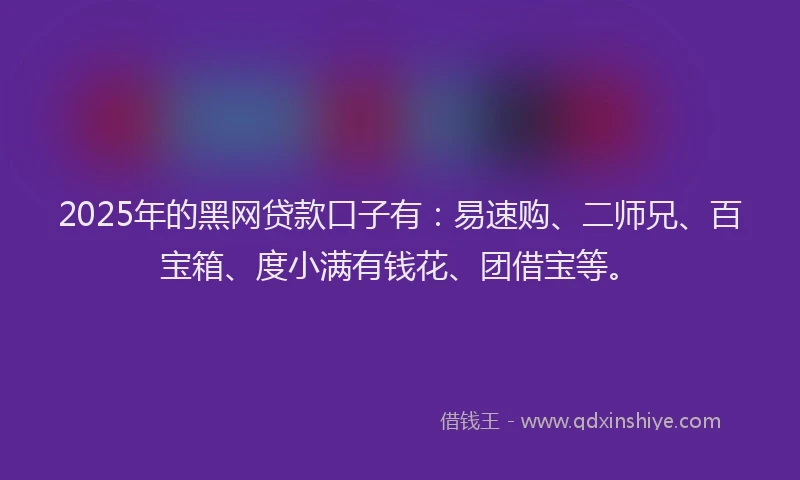 2025年的黑网贷款口子有：易速购、二师兄、百宝箱、度小满有钱花、团借宝等。